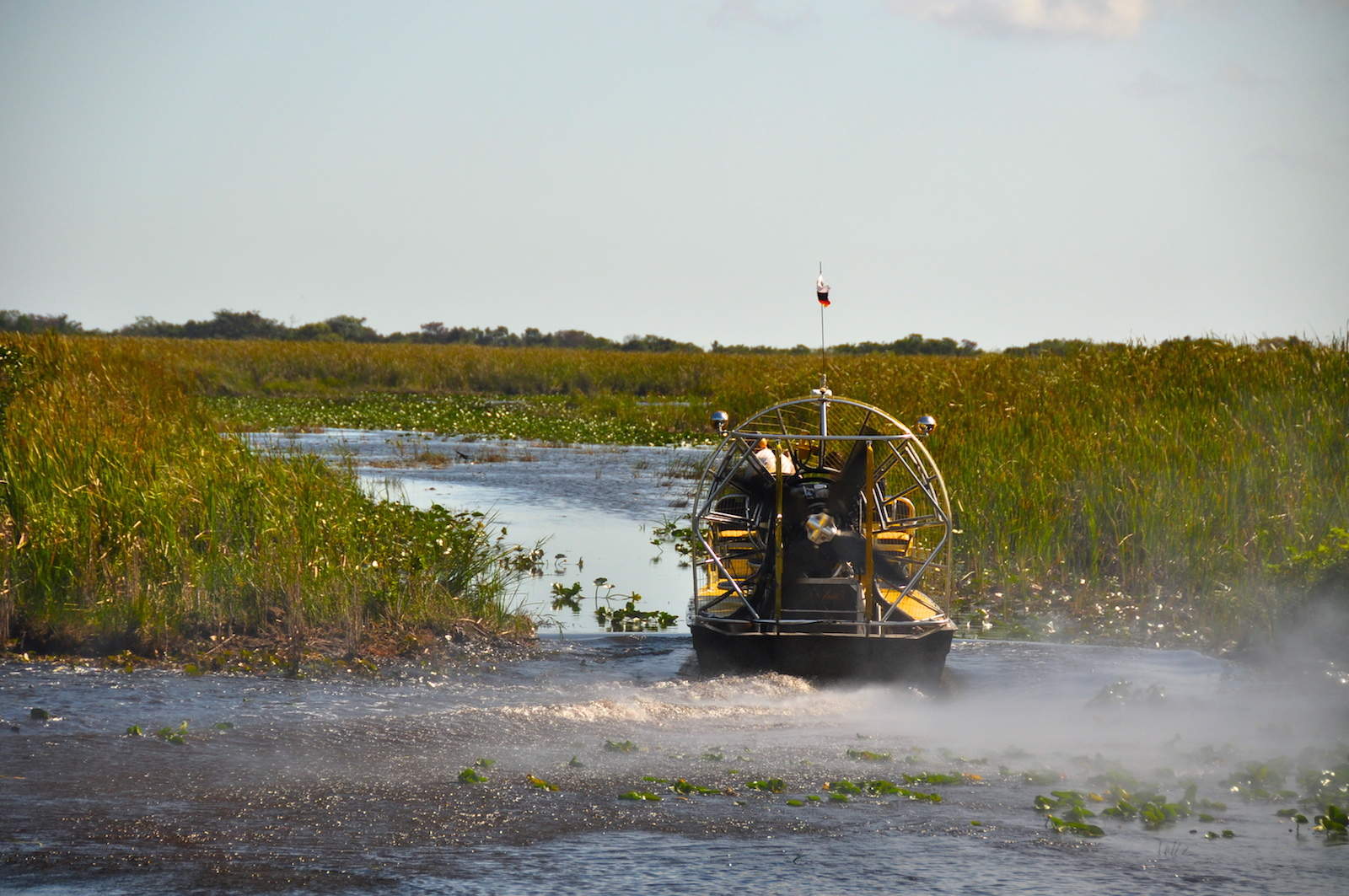 Airboat dans les Everglades