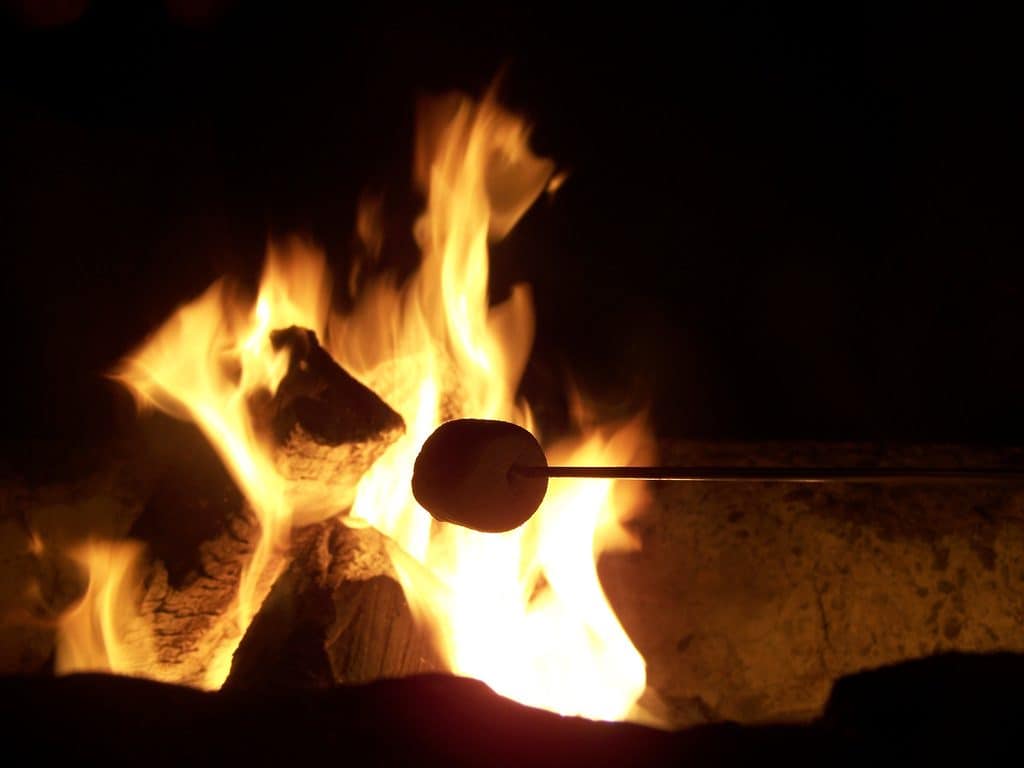 feu de camp - camps d'été