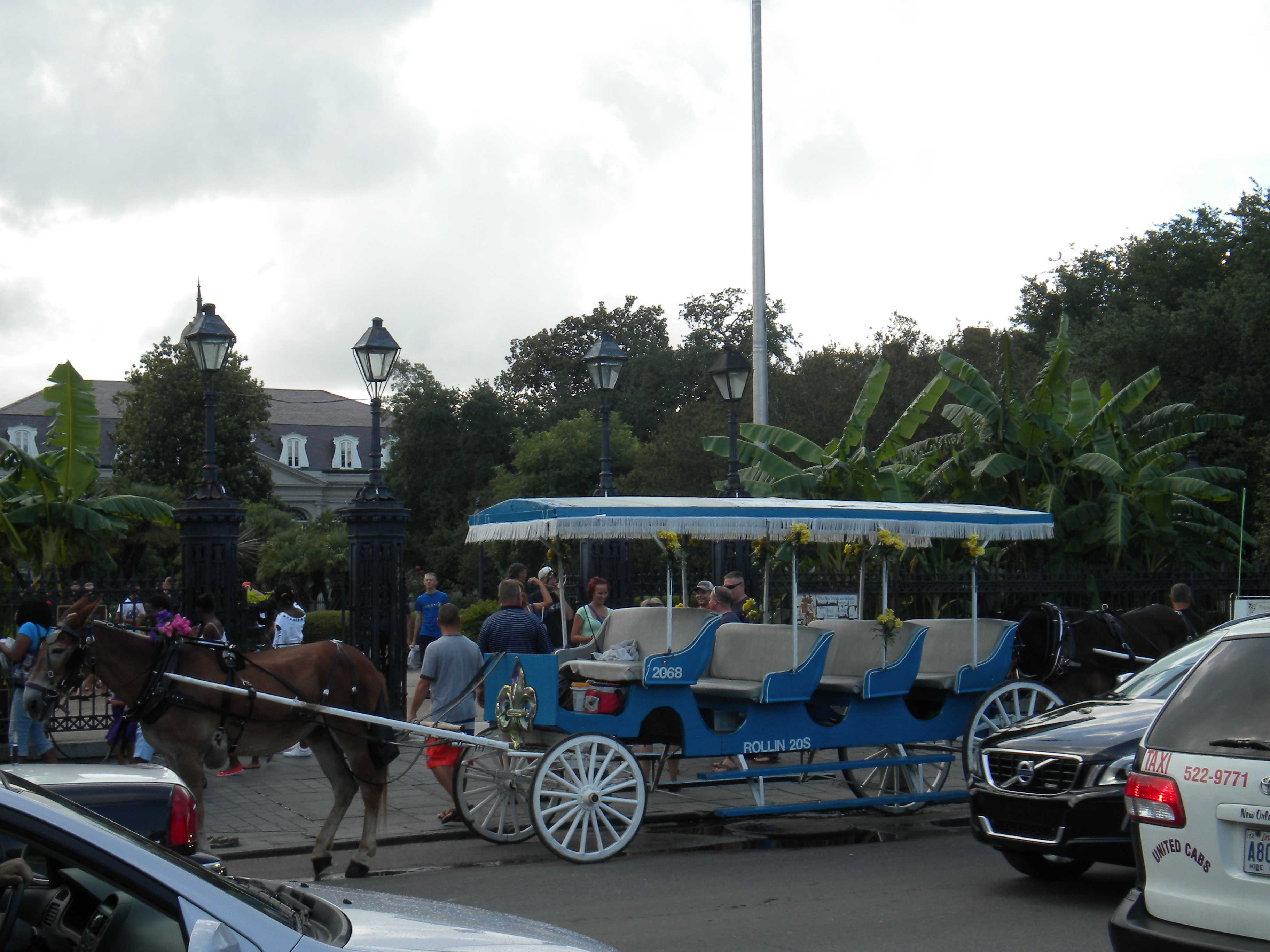 caléche nouvelle orleans