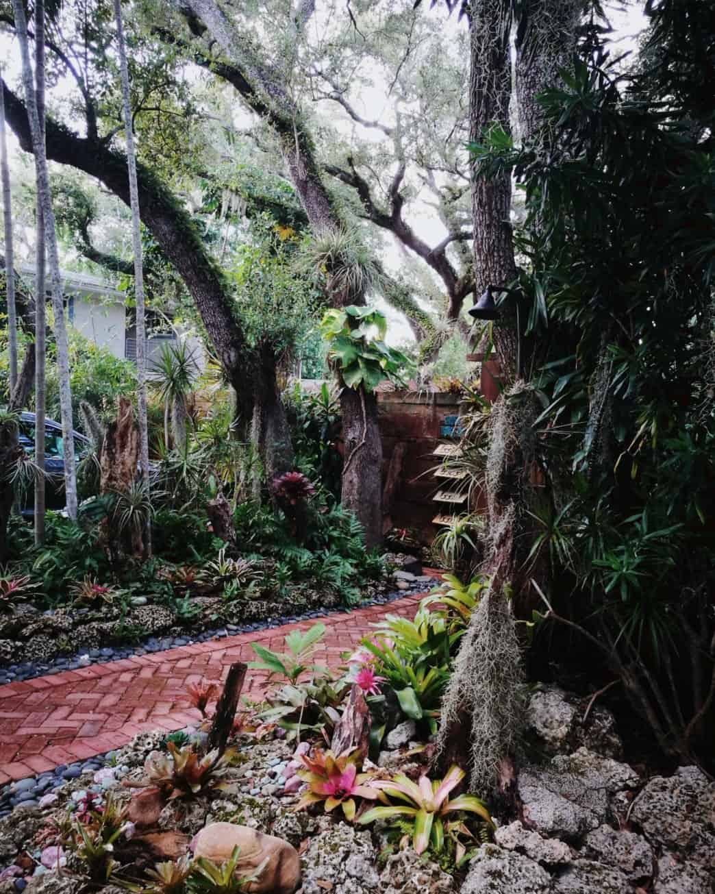 📍Coconut Grove, Miami
Toujours dans le quartier de Coconut Grove, j'ai pris cette photo juste parce que j'adore cette végétation. 
Une petite jungle dans la ville !
Et contrairement à ce qu'on pourrait penser Miami a beau être une grande ville avec toutes les constructions qui vont avec... il est facile de trouver des îlots de verdure comme celui-ci.
Et c'est doute l'une des raisons qui fait que je me sens si à l'aise ici.

#coconutgrove #coconutgrovemiami #greendistrict #miami #miamiflorida #spanishmoss #wildlife #wildlifephotography #etatsunis #america #floridastate #voyages #voyagevoyage