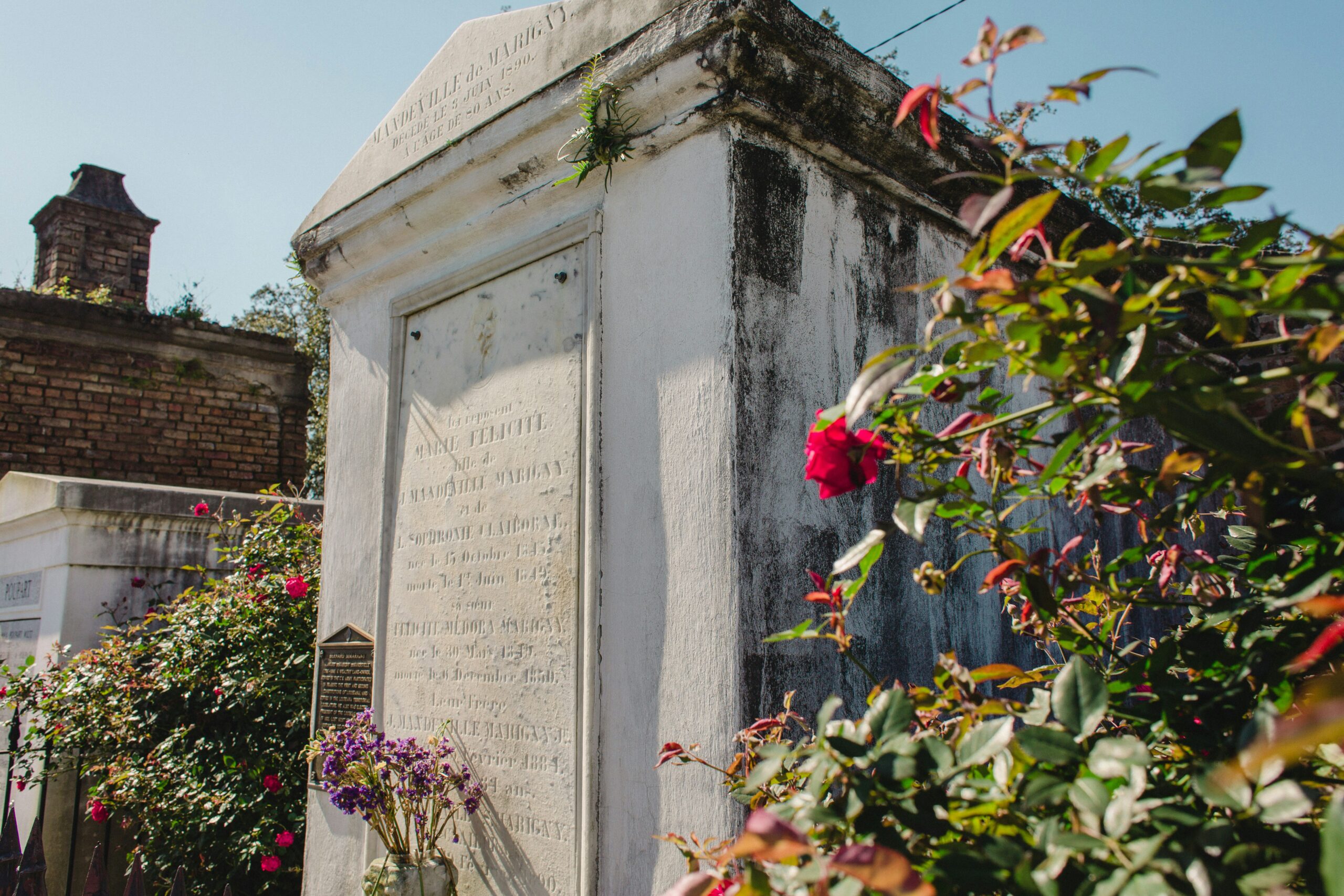 tombe cimetière nouvelle orléans
