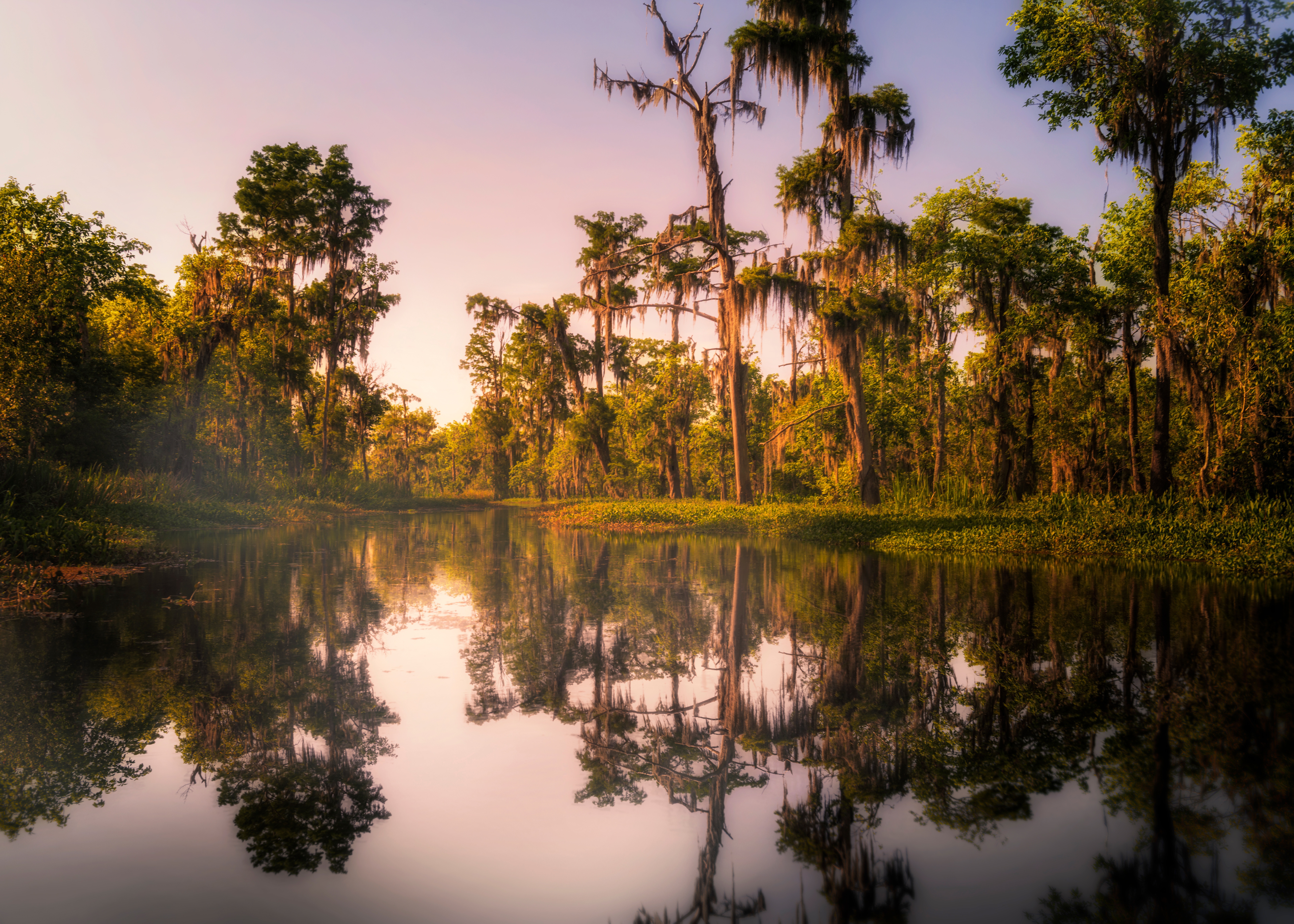 bayou nouvelle orléans