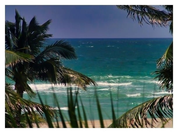 Une eau bleue turquoise, des palmiers et rien de plus🌴 Simple et toujours efficace.😎 Vue depuis ma chambre d'hôtel à Miami Beach------------------------------------Suivez-moi sur insta: @mythique_amerique----------------------------------- #topicalparadise #paradise #tropicalvibe #palmiers #eauturquoise #sunnyislesbeach #sunnyisles #miamibeach #miamiflorida #floride #lesfrançaisvoyagent #usa #usalovers #etatsunis #étatsunis #etatsunisdamerique #blogvoyage #voyager #travelphotography #bloggeusefrancaise