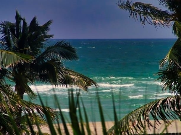 Une eau bleue turquoise, des palmiers et rien de plus🌴 Simple et toujours efficace.

😎 Vue depuis ma chambre d'hôtel à Miami Beach

------------------------------------

Suivez-moi sur insta: @mythique_amerique

-----------------------------------

 #topicalparadise #paradise #tropicalvibe #palmiers #eauturquoise #sunnyislesbeach #sunnyisles #miamibeach #miamiflorida #floride #lesfrançaisvoyagent #usa #usalovers #etatsunis #étatsunis #etatsunisdamerique #blogvoyage #voyager #travelphotography #bloggeusefrancaise
