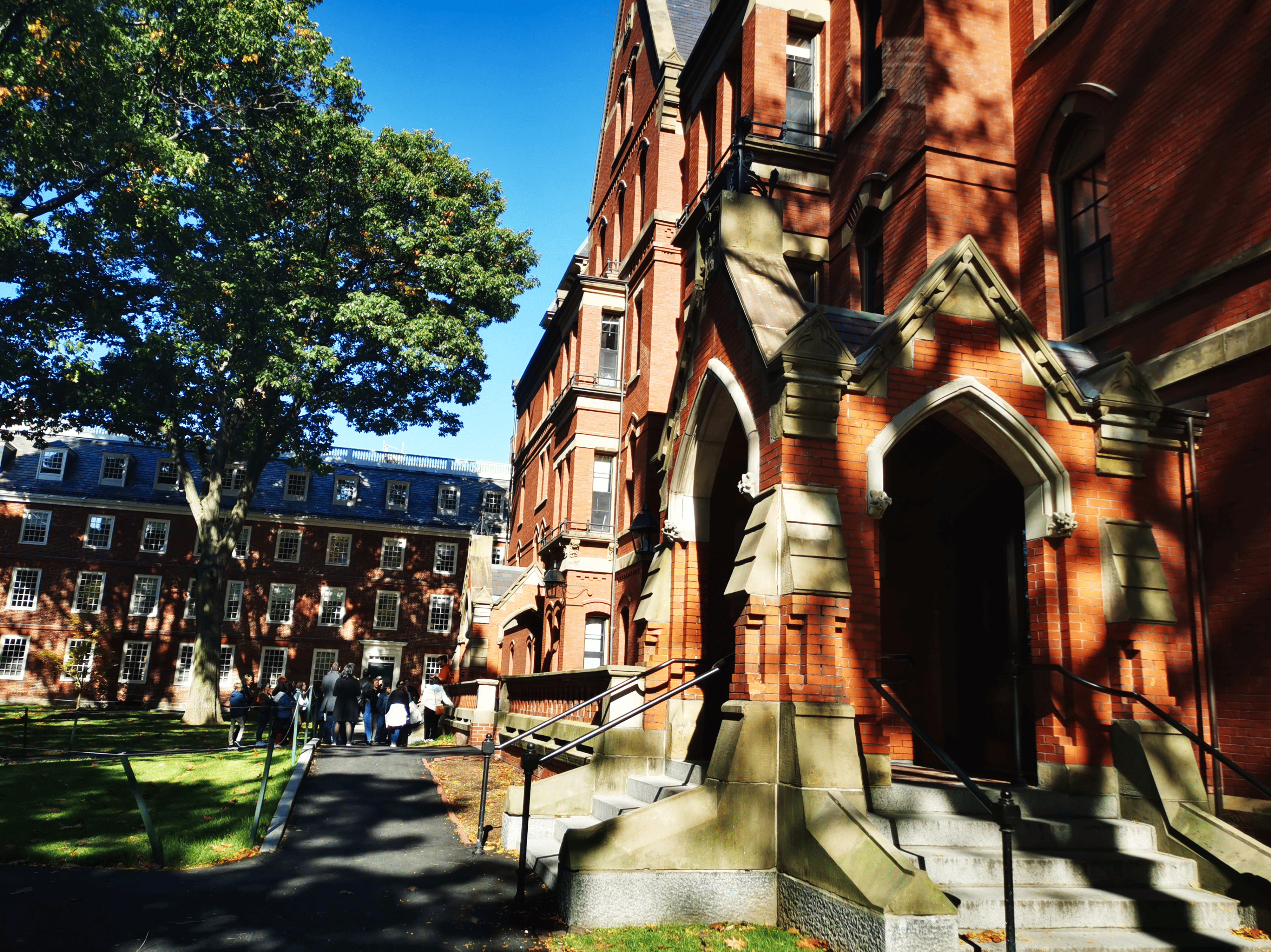 campus harvard dortoirs
