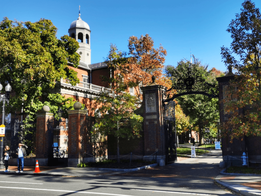 entrée université harvard