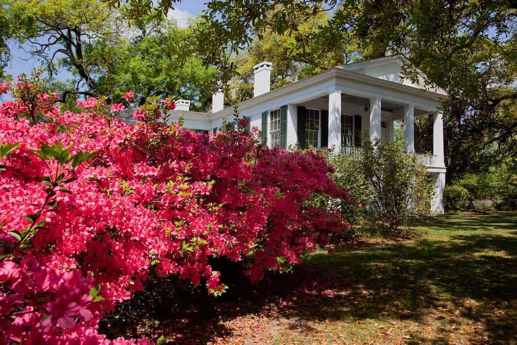 oakleigh house mobile alabama