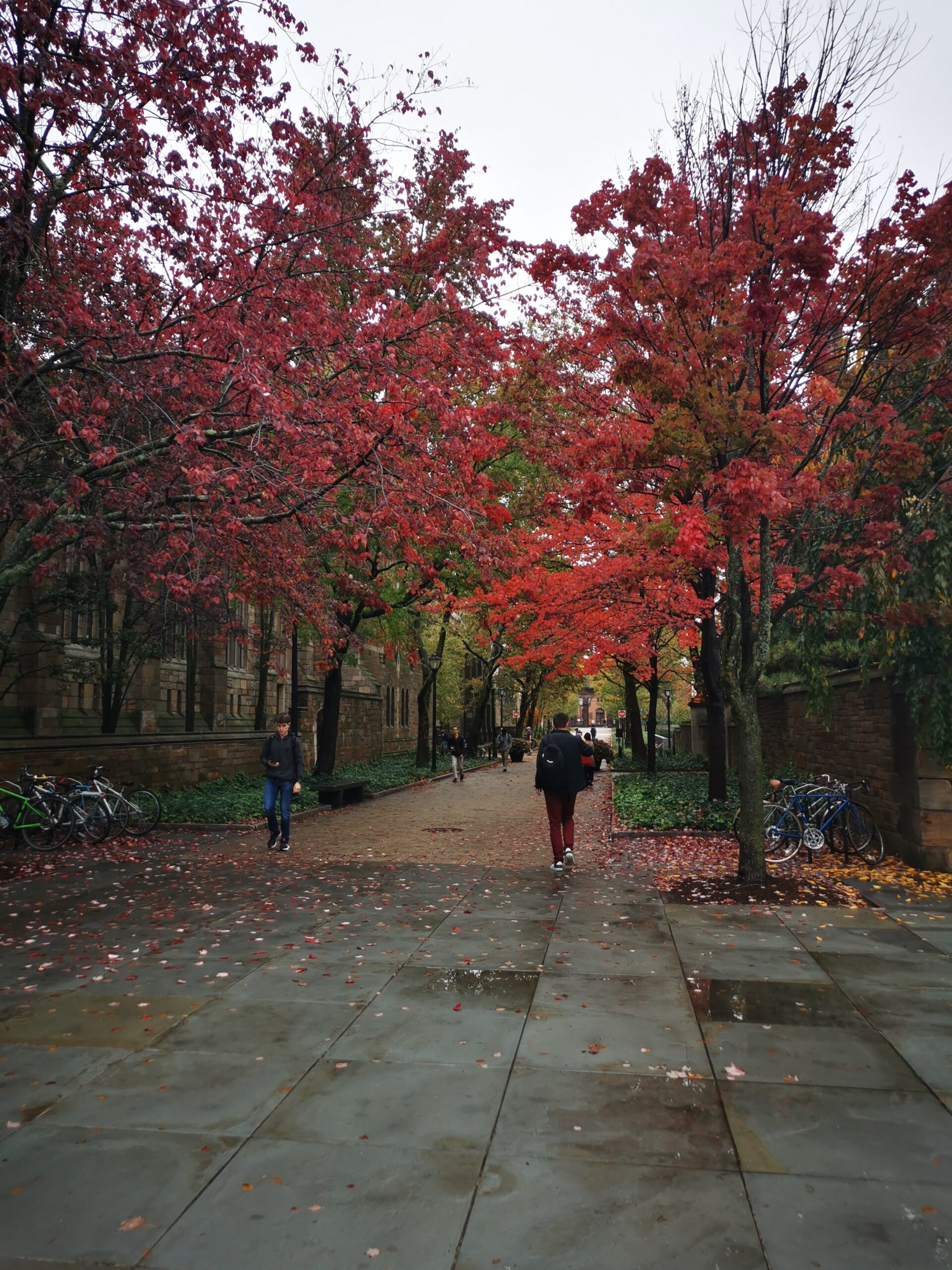 automne Nouvelle-Angleterre