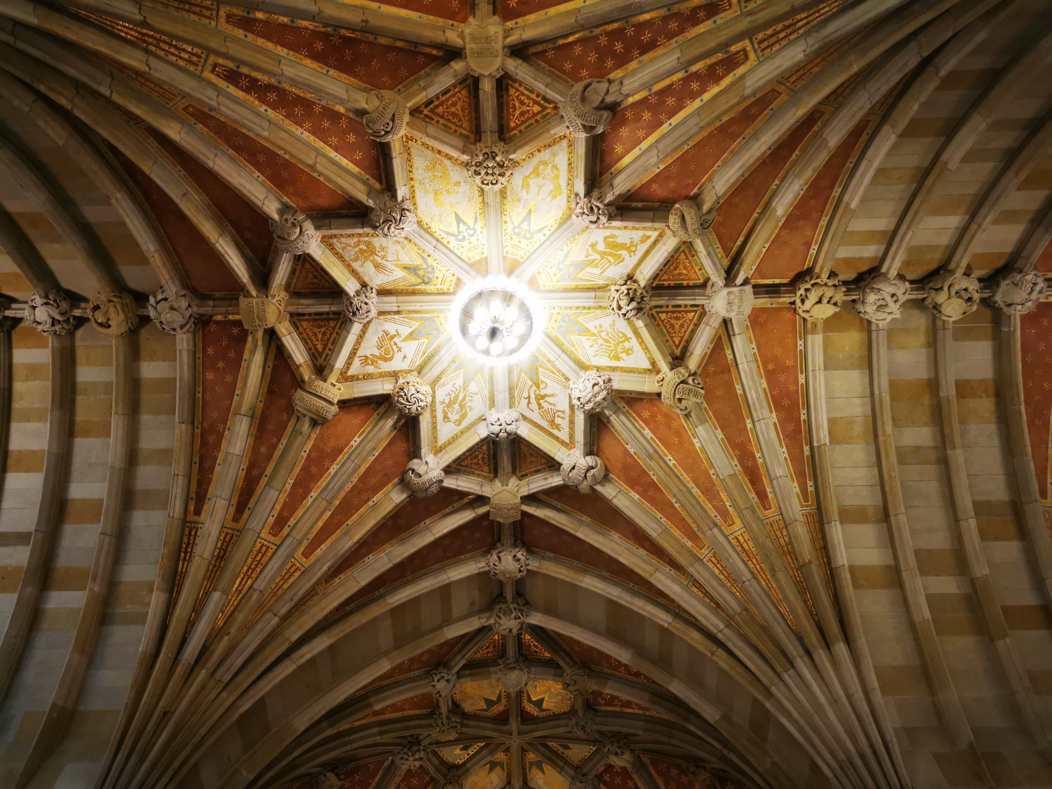 bibliothèque université Yale