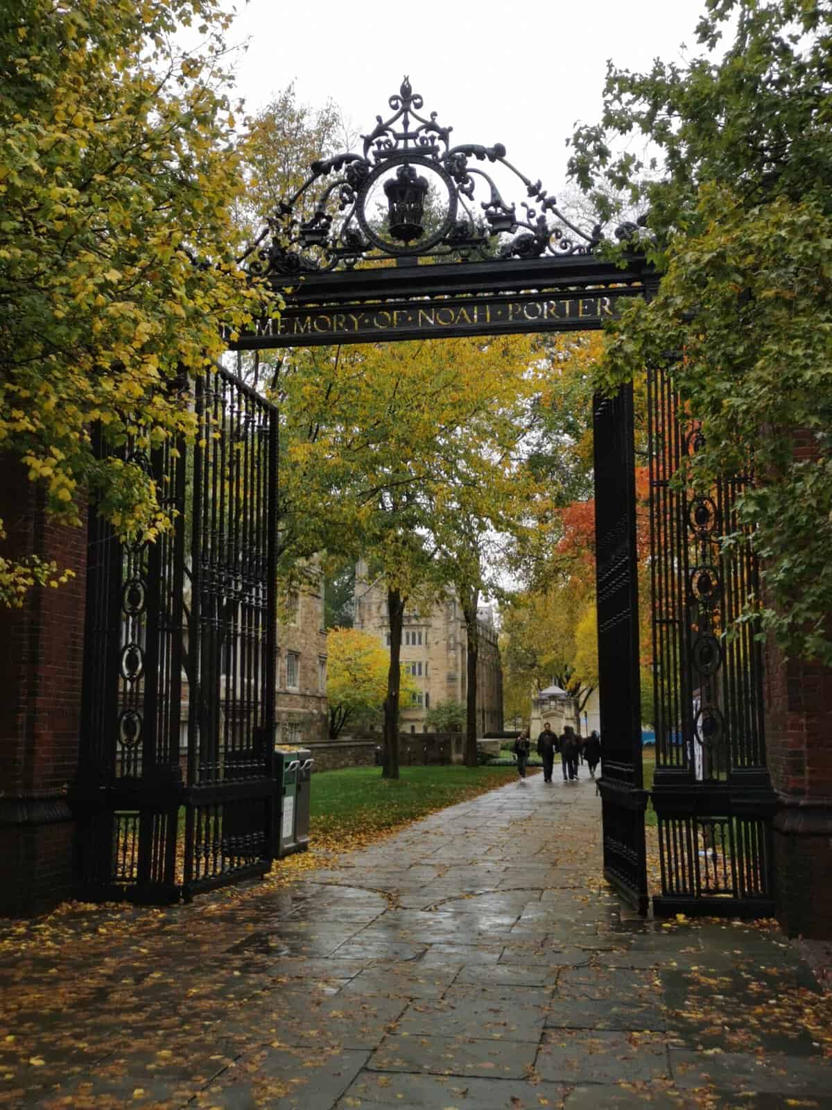 portail université Yale