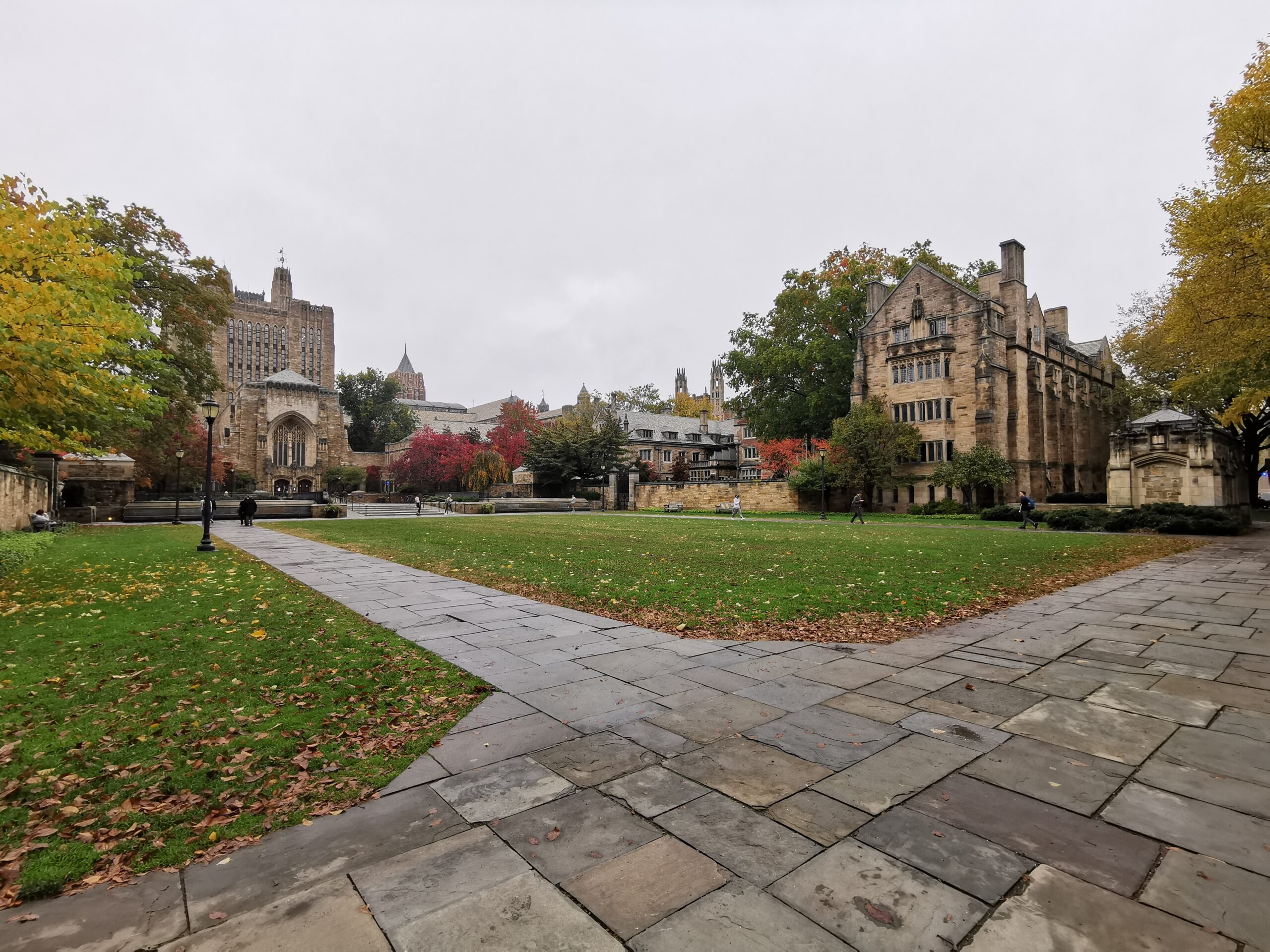 campus université Yale