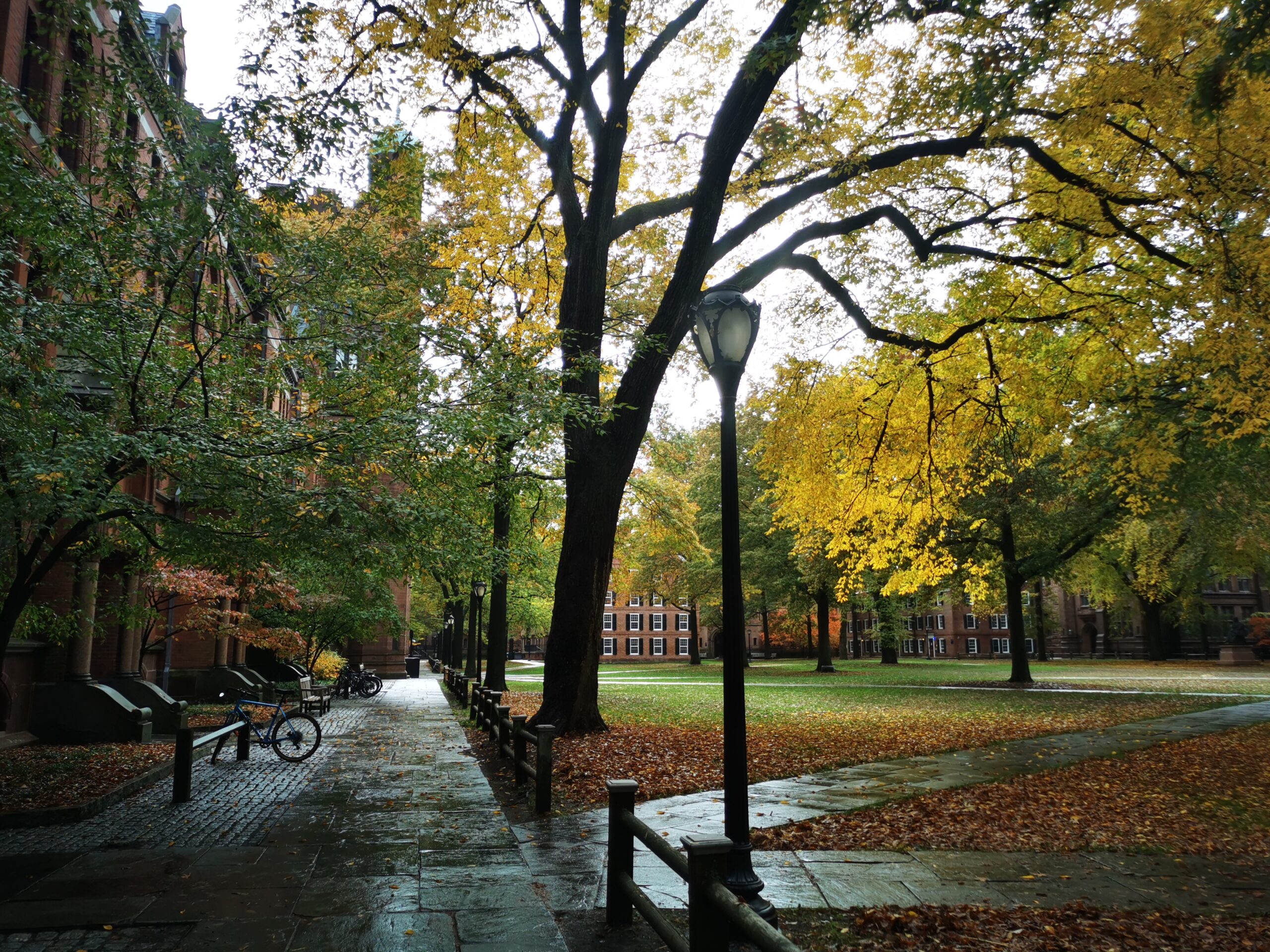 Yale Nouvelle-Angleterre