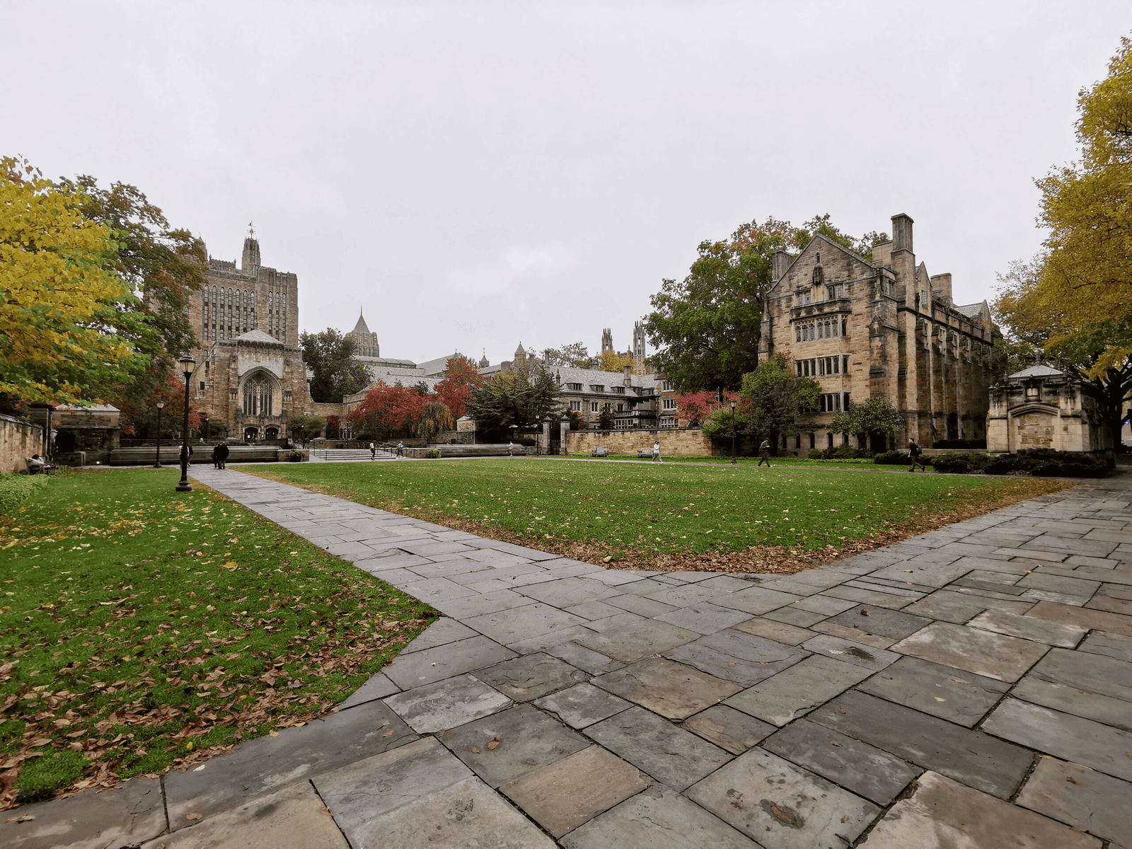 cour principale université Yale