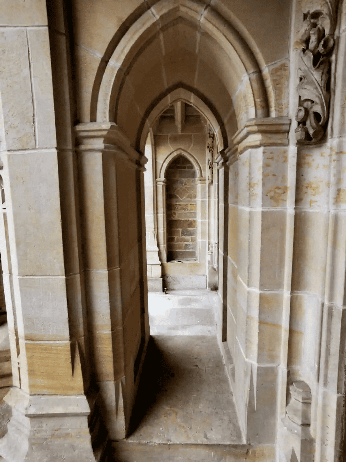 arche bibliothèque université Yale