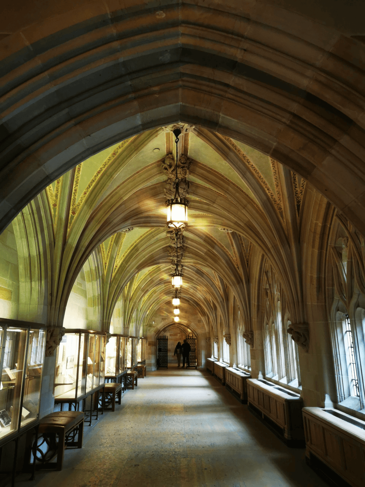 voûtes univeristé yale