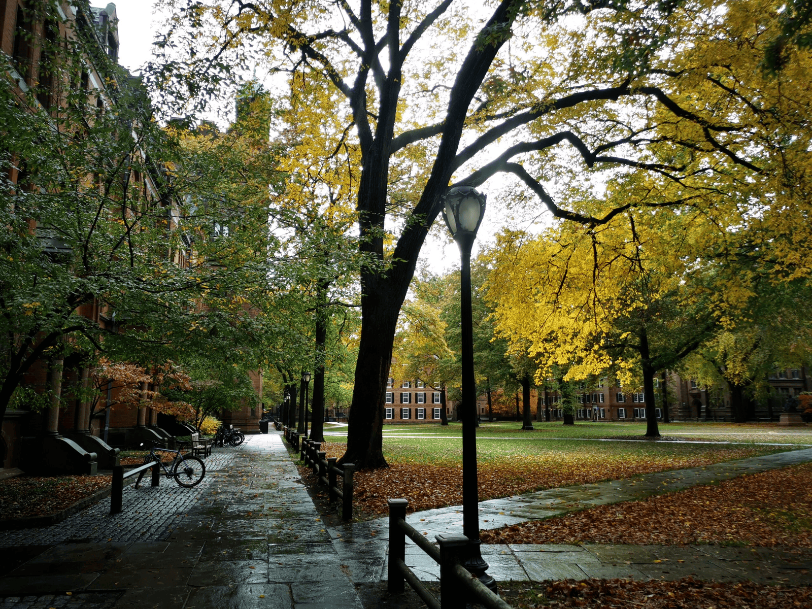cour intérieure université Yale