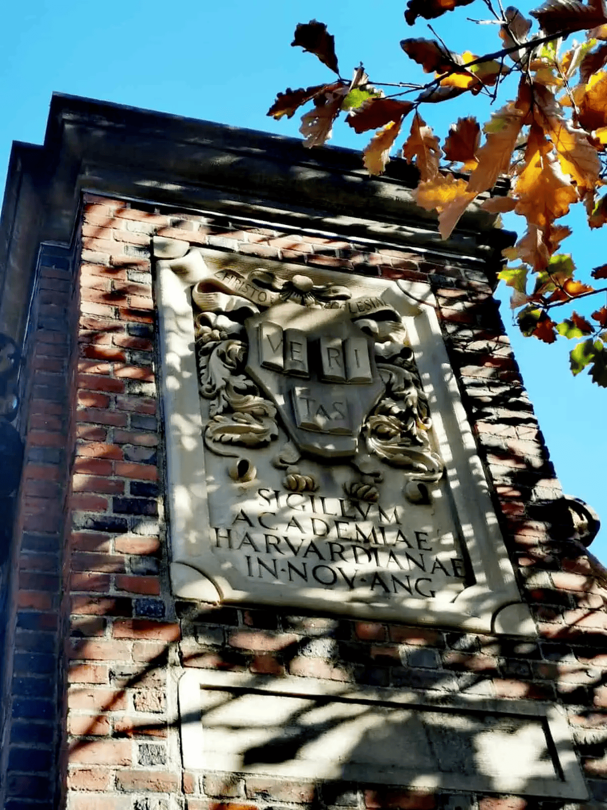 veritas devise université harvard