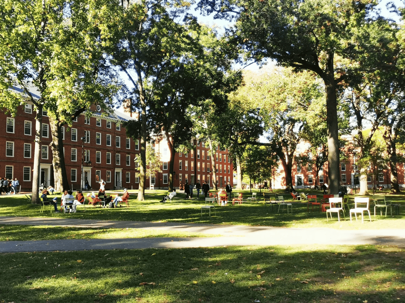 yard université Harvard