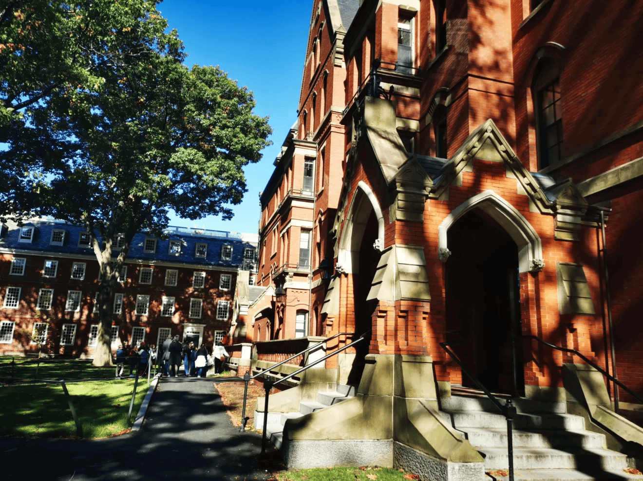 dortoirs Harvard université