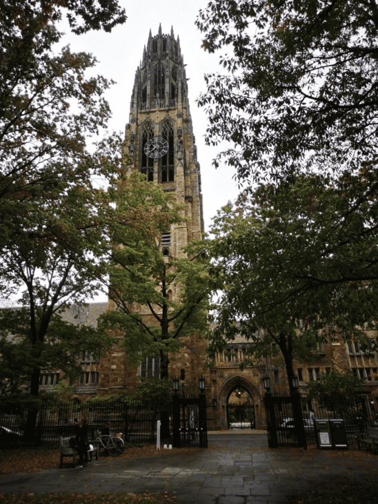 université Yale