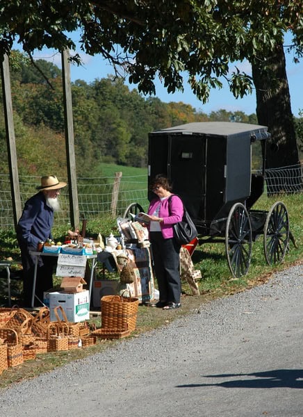 stands marché amish